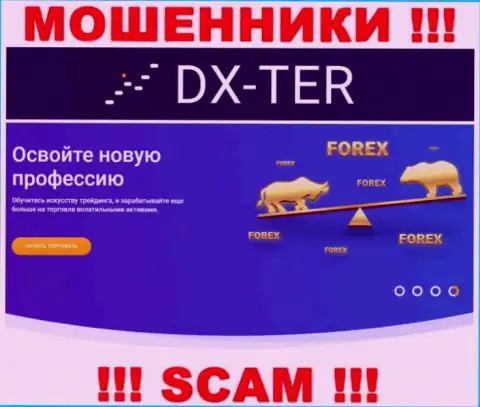 С организацией DX-Ter Com сотрудничать очень опасно, их направление деятельности Форекс - это капкан