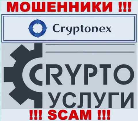 Работая совместно с CryptoNex, сфера деятельности которых Крипто услуги, рискуете лишиться своих вложенных денег