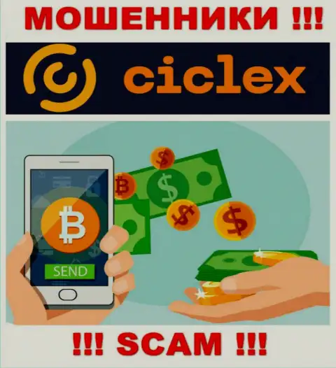 Ciclex не вызывает доверия, Криптообменник - это именно то, чем заняты указанные интернет-мошенники
