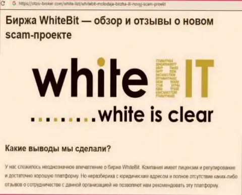 WhiteBit это организация, совместное сотрудничество с которой приносит лишь потери (обзор противозаконных действий)