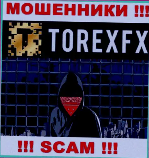 Torex FX скрывают инфу об Администрации организации