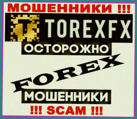 Род деятельности TorexFX: Forex - хороший заработок для internet-мошенников