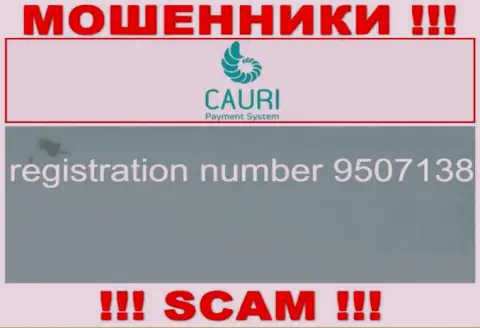 Регистрационный номер, который принадлежит преступно действующей компании Каури - 9507138