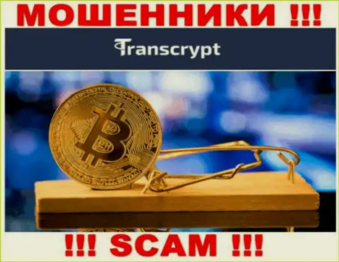 Не попадитесь в грязные лапы internet кидал TransCrypt Eu, не отправляйте дополнительно денежные средства