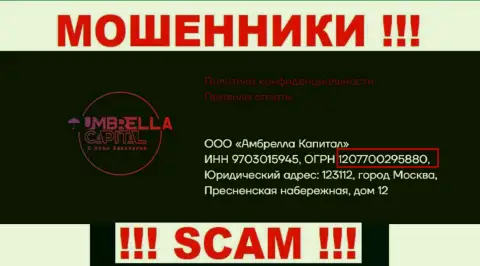 ООО Амбрелла Капитал интернет кидал UmbrellaCapital зарегистрировано под этим регистрационным номером: 207700295880