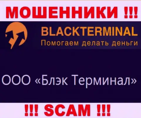 На официальном интернет-портале BlackTerminal написано, что юр лицо организации - ООО Блэк Терминал