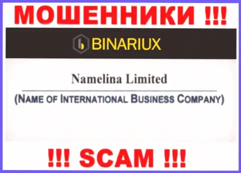 Бинариакс - это интернет-мошенники, а управляет ими Namelina Limited