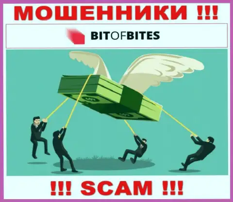 Не работайте совместно с ДЦ BitOf Bites - не окажитесь очередной жертвой их мошеннических комбинаций