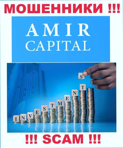 Не вводите денежные средства в Амир Капитал, направление деятельности которых - Инвестирование
