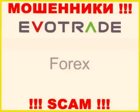 EvoTrade не внушает доверия, Forex - это то, чем промышляют эти internet-мошенники