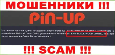Мошенники Pin-Up Casino принадлежат юр. лицу - B.W.I. BLACK-WOOD LIMITED