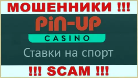 Основная деятельность Пин Ап Казино - это Casino, будьте крайне бдительны, действуют неправомерно