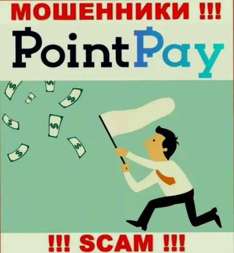 Даже и не надейтесь, что с организацией Point Pay LLC не рискованно иметь дело - это РАЗВОДИЛЫ