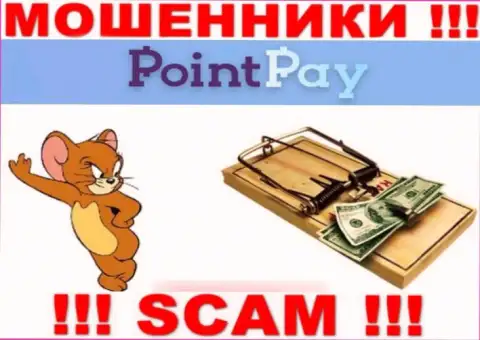 PointPay - это МОШЕННИКИ, не доверяйте им, если будут предлагать пополнить вклад