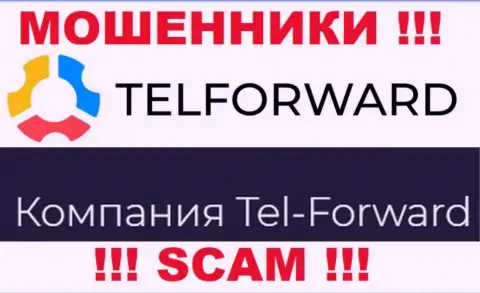Юридическое лицо TelForward - Тел-Форвард, такую информацию представили махинаторы на своем сайте