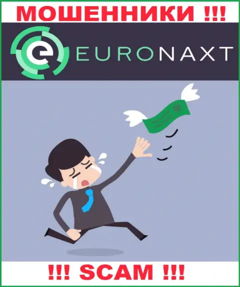 Обещания иметь заработок, работая совместно с конторой EuroNaxt Com это РАЗВОДНЯК !!! БУДЬТЕ ВЕСЬМА ВНИМАТЕЛЬНЫ ОНИ МОШЕННИКИ