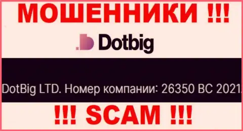 Рег. номер мошенников DotBig, приведенный ими на их веб-сервисе: 26350 BC 2021