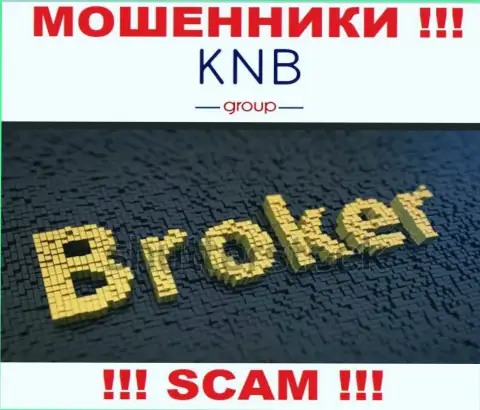 Тип деятельности жульнической организации KNB Group - это Broker