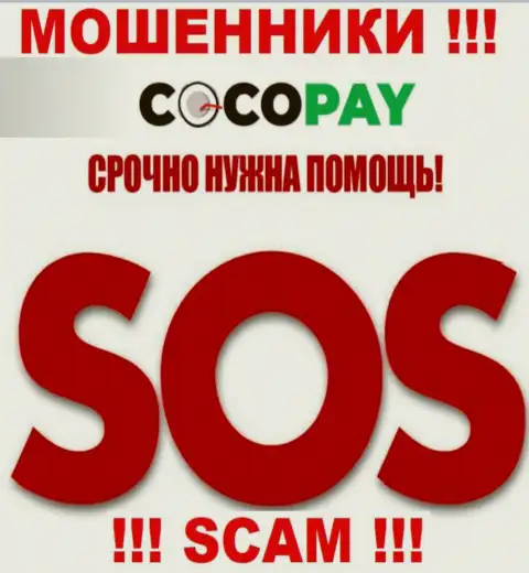 Можно еще попытаться забрать назад денежные вложения из организации Coco Pay, обращайтесь, расскажем, как быть