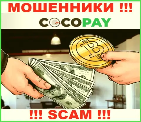 Не советуем доверять денежные средства Coco-Pay Com, т.к. их сфера деятельности, Обменник, ловушка