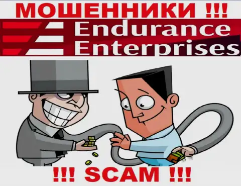 Дохода с компанией Endurance FX вы не увидите - очень опасно заводить дополнительные денежные средства