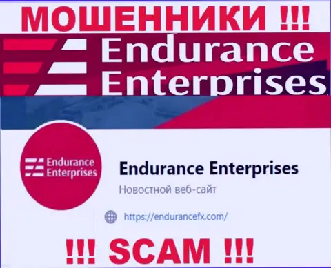 Пообщаться с internet-аферистами из конторы EnduranceFX Com Вы сможете, если отправите сообщение на их е-майл