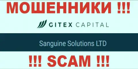 Юридическое лицо ГитексКапитал Про - это Sanguine Solutions LTD, такую информацию опубликовали махинаторы на своем информационном портале