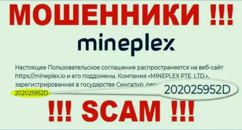 Номер регистрации очередной неправомерно действующей организации MinePlex - 202025952D