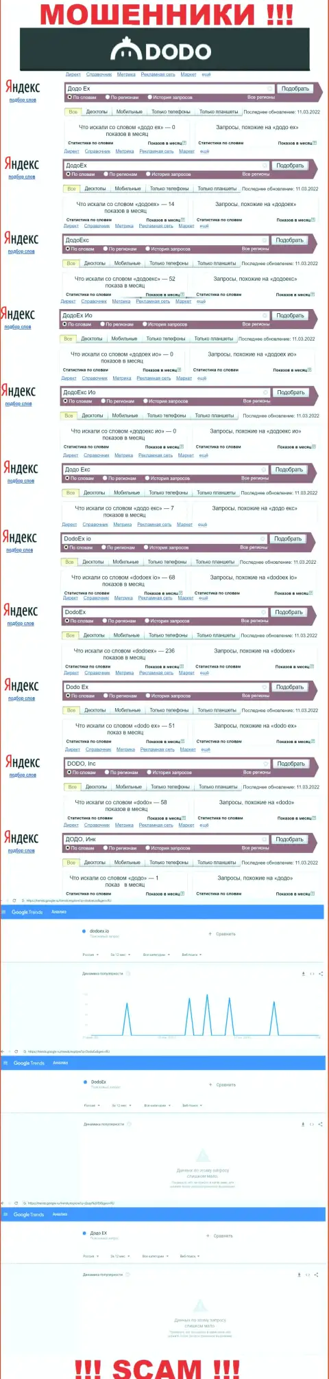 Статистика online запросов по мошенникам DodoEx в поисковиках всемирной сети Интернет