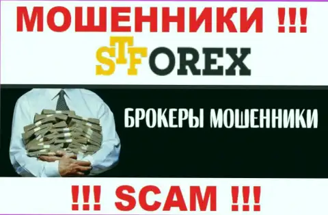 Мошенники STForex только задуривают мозги биржевым игрокам, рассказывая про нереальную прибыль