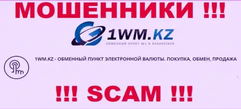 Деятельность мошенников 1WM Kz: Internet-обменник - это замануха для неопытных людей