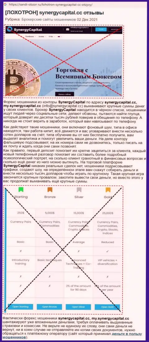 Обзор SynergyCapital с описанием признаков противоправных деяний