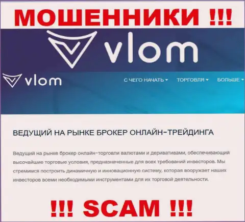 Область деятельности мошеннической конторы Vlom - это Брокер