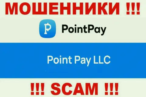 Компания Поинт Пэй находится под крышей организации Point Pay LLC