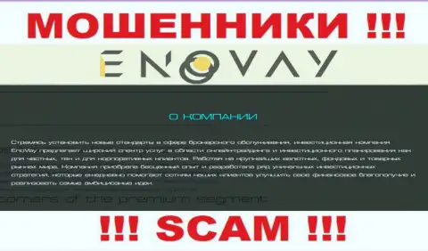 Так как деятельность интернет-разводил EnoVay Info - это сплошной обман, лучше взаимодействия с ними избежать