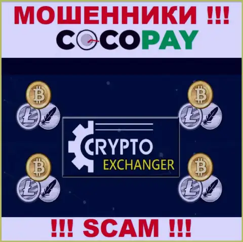 CocoPay - типичные internet мошенники, вид деятельности которых - Online-обменка