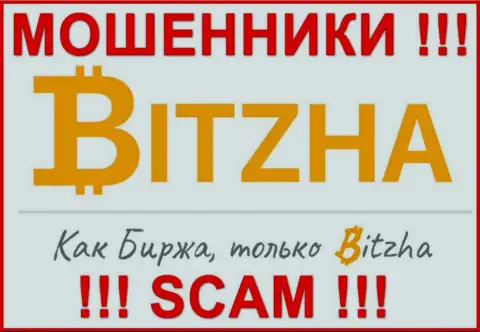 Bitzha24 - это МОШЕННИКИ !!! Денежные активы не возвращают обратно !!!