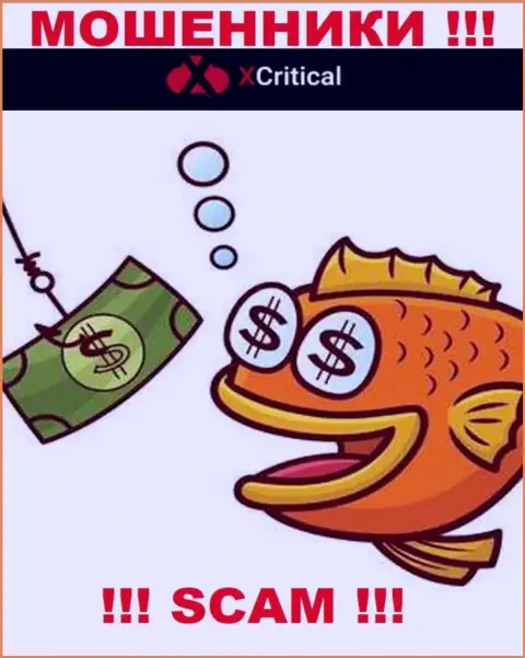 Мошенники XCritical могут постараться раскрутить Вас на деньги, только знайте - это довольно-таки опасно