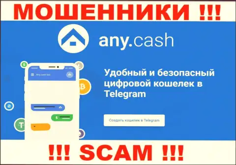 Any Cash - это мошенники, их работа - Криптовалютный кошелёк, нацелена на кражу финансовых активов доверчивых людей