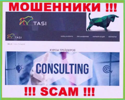 Обманщики TasInvest Com выставляют себя профессионалами в направлении Консалтинг